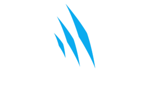 Body Trainers logo